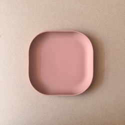 Toddler's Plate light pink