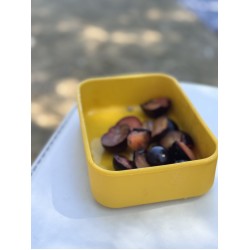 Family LunchBox without Comparment 800ml yellow/ivory