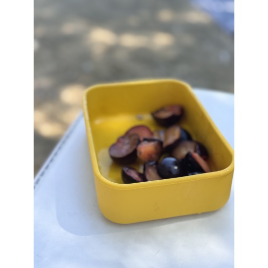 Family LunchBox without Comparinment 800ml yellow/ivory