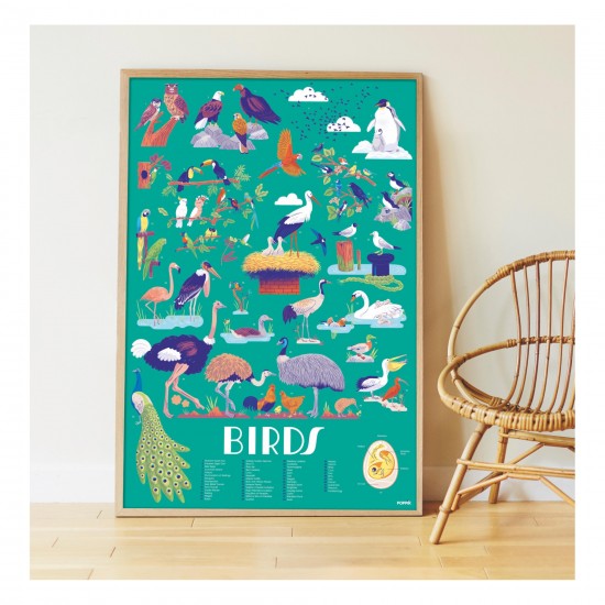 POPPIK Educational poster + 45 stickers birds (6-12 years) 