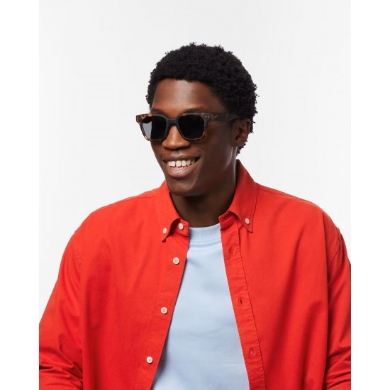 IZIPIZI Sunglasses ADULTS ROAD Sun Light Tortoise