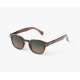 IZIPIZI Γυαλιά ηλίου Morning Express ADULTS #C Dark Exspresso