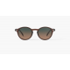 IZIPIZI Sunglasses Morning Express ADULTS #D Dark Espresso 
