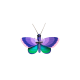 Studio ROOF Wall Decoration Blue Copper Butterfly Studio ROOF Wall Decoration Blue Copper Butterfly