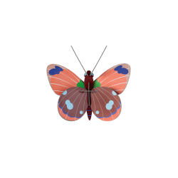 Studio ROOF Wall Decoration Delias Butterfly 
