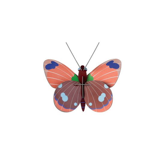 Studio ROOF Wall Decoration Delias Butterfly Studio ROOF Wall Decoration Delias Butterfly