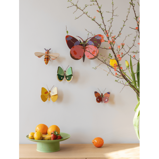 Studio ROOF Wall Decoration Delias Butterfly Studio ROOF Wall Decoration Delias Butterfly