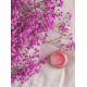 Apeiranthos Lip conditioner (glossy pink) Apeiranthos Lip conditioner (glossy pink)