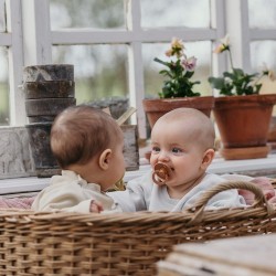 BIBS Pacifier 2 PACK - FOSSIL GREY/MAUVE (size 1) BIBS Pacifier 2 PACK - FOSSIL GREY/MAUVE (size 1)