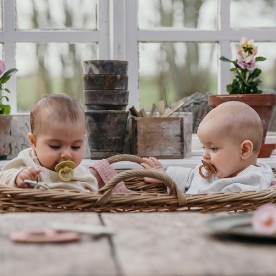 BIBS Pacifier Set- Nordic Mint / Forest Lake (size 2) BIBS Pacifier Set- Nordic Mint / Forest Lake (size 2)