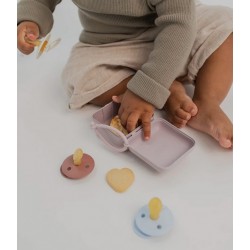 Bibs Pacifier Case Woodchuck 