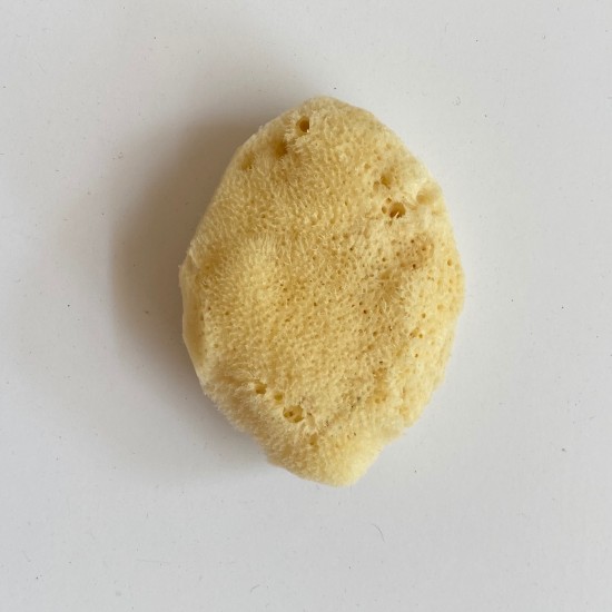 Beauty Sponge Kalymnian Fino 