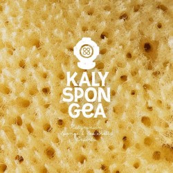 Kalymnian Adults Sponge |Honeycomb  Kalymnian Adults Sponge |Honeycomb