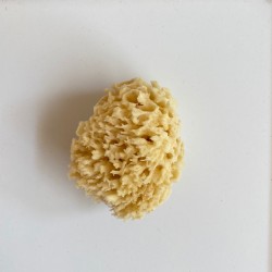 Kids Sponge Kalymnian Honeycomb 