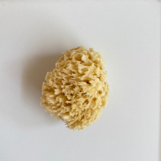 Kalymnian Kids Sponge |Honeycomb Kalymnian Kids Sponge |Honeycomb