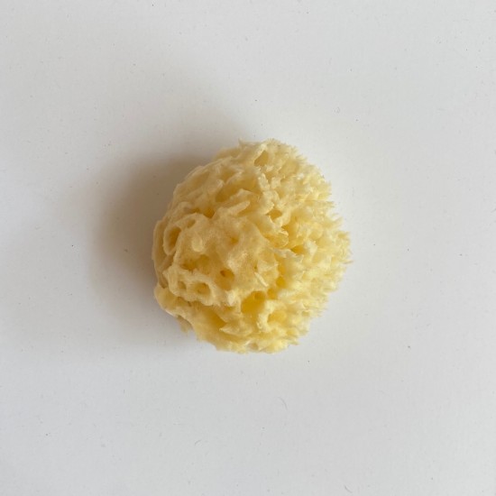 Kalymnian Baby Sponge |Honeycomb Kalymnian Baby Sponge |Honeycomb